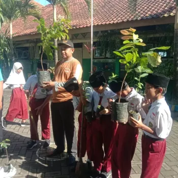 menanam (1)